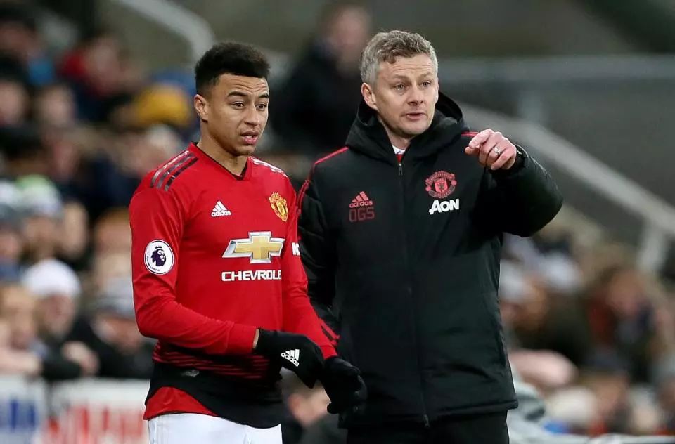 析和场上球 析和场上球