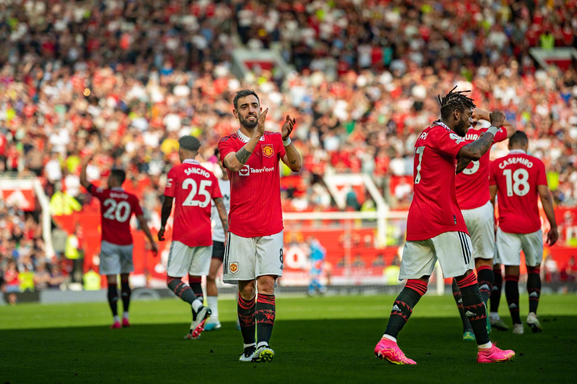 她多年来辛 她多年来辛